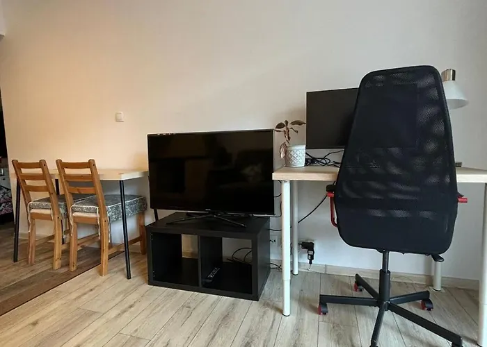 Cozy New With Balcony Poznaň