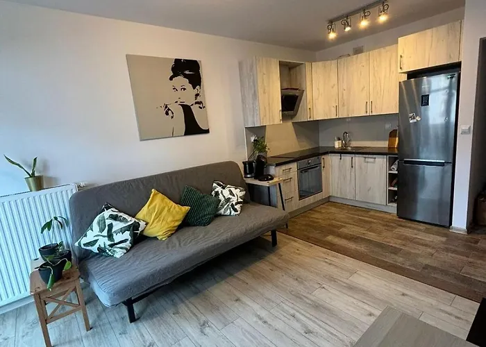 Cozy New With Balcony Poznaň