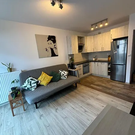 Cozy New With Balcony Познань
